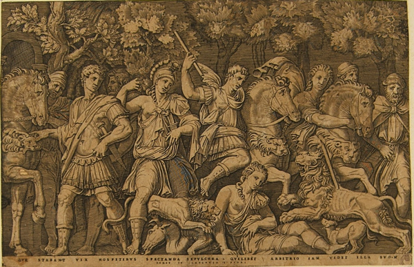 Raimondi Marcantonio - Caccia al leone